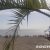 «Жаркое» воскресенье в Сочи выманило всех на пляж: показываем, как это было (видео)