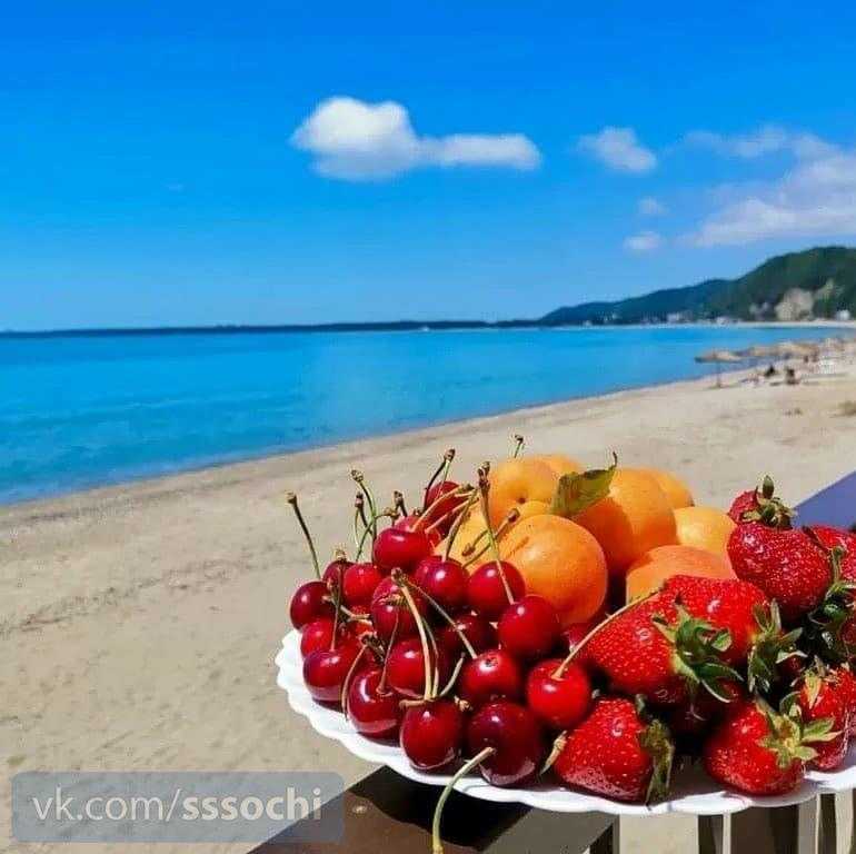 Цены на популярные фрукты в Абхазии сейчас: Клубника — 100 руб/кг 🫒Мушмула — 50-100…
