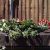 Жители Сочи несут цветы к месту расстрела двух судебных приставов в Адлерском районе. На…