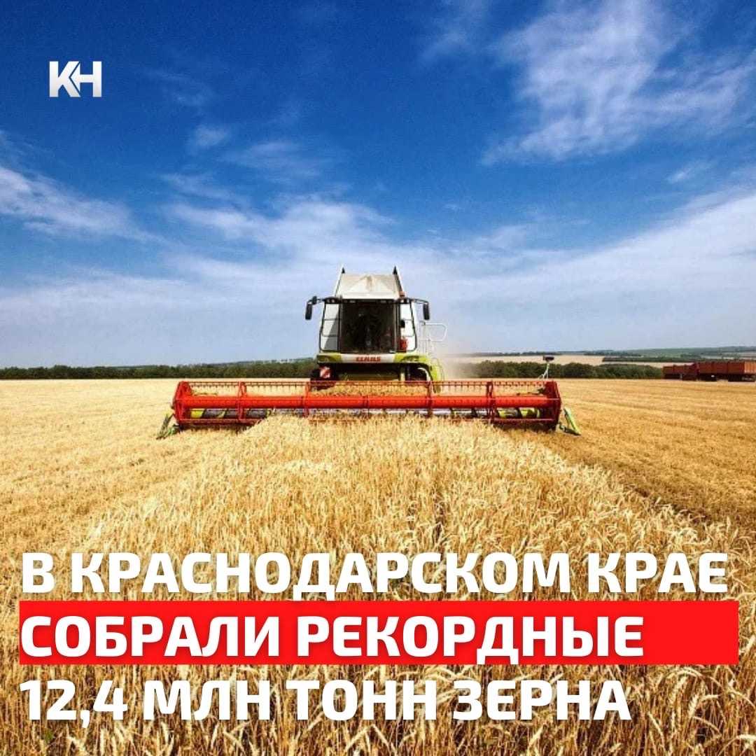 🌾В Краснодарском крае в 2021 году собрали рекордные 12,4 млн тонн зерна!…