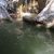 Топ-10 самых красивых водопадов Сочи ⬇️⬇️⬇️ 1. Поликаря — самый высокий водопад на территории…