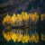 Буйство золотой осени на озере Кардывач. Октябрь Видео: zholobow #краснаяполяна #розахутор #сочигоры #сочи2021 #сочи