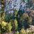 Тисо-Самшитовая роща ️ Загадочность реликтовых растений и 100-метровые отвесные скалы над горной рекой создают…