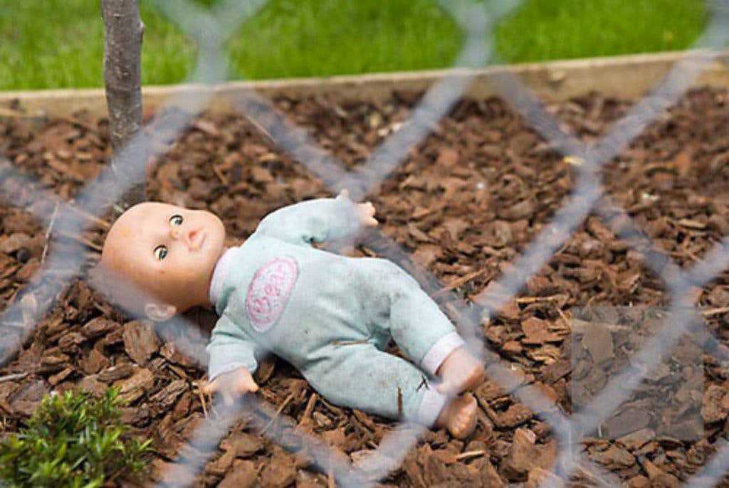 В Тихорецком районе женщина выбросила новорожденного ребенка в огород В октябре жительница Алексеевского поселения…