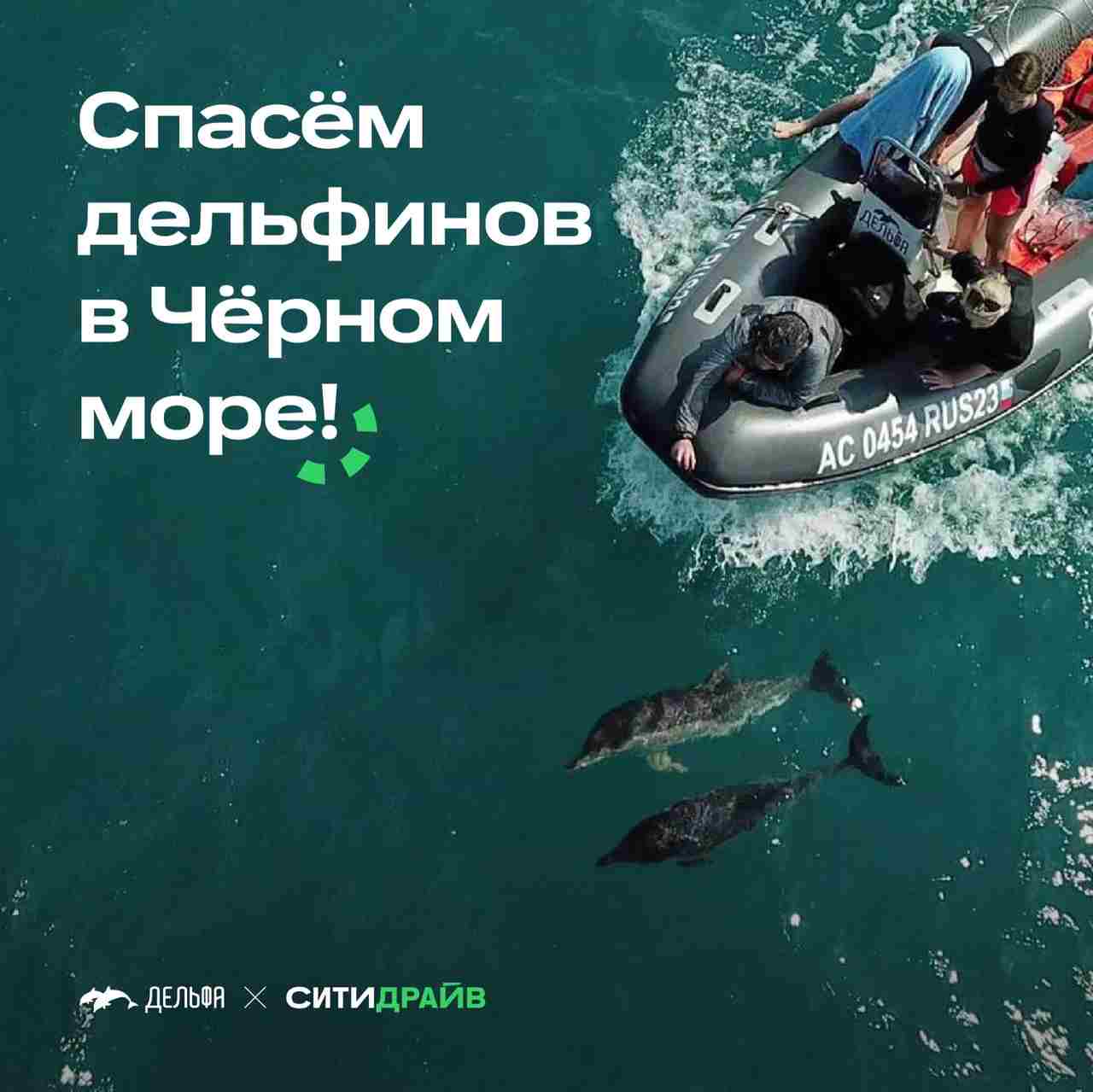 Каршеринг Ситидрайв поможет фонду «Дельфа» спасать краснокнижных черноморских дельфинов 10 ₽ с каждой поездки…
