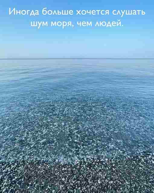 Бывает? Автор: pitsundaaa #абхазия #черноеморе #сочи #адлер Чат города Сочи — Только живое общение…