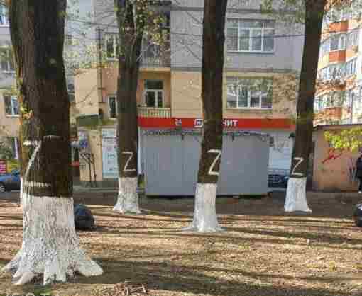 В Краснодаре символику Z нанесли на деревья во дворе