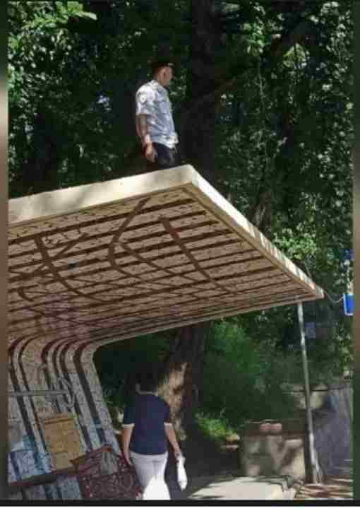 Днем 3 июня в пабликах появилась фотография полицейского, который залез на остановку в Сочи….