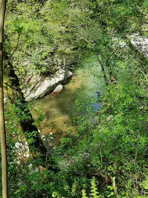 Дорога к Агурским водопадам лежит по ущелью вдоль реки Агура. Тропа вырублена в скалах…