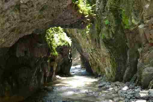 Мамедово ущелье Лазаревское Мамедово ущелье в Лазаревском – природный оазис, который каждый год посещают…
