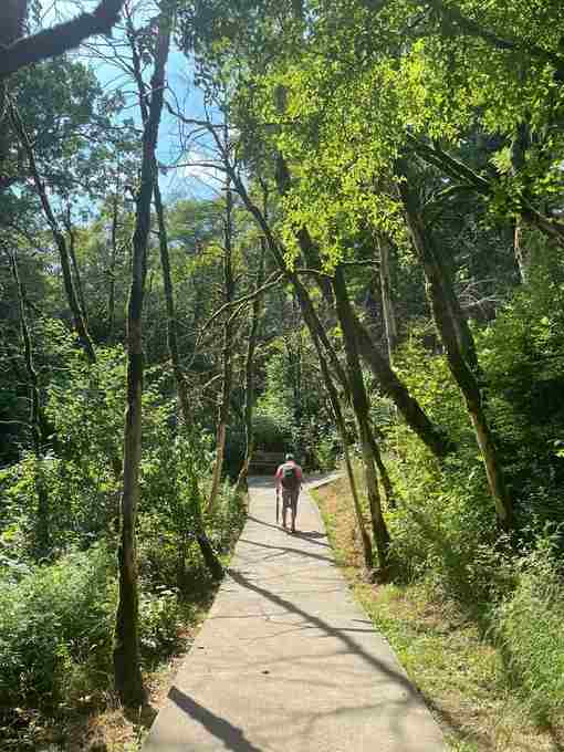 Тисо-самшитовая роща Является частью сочинского национального парка. Древний колхидский лес, богатая тропическая флора и…