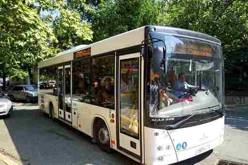В Сочи в автобусах изменились тарифы в зависимости от времени передвижения Тариф на проезд…