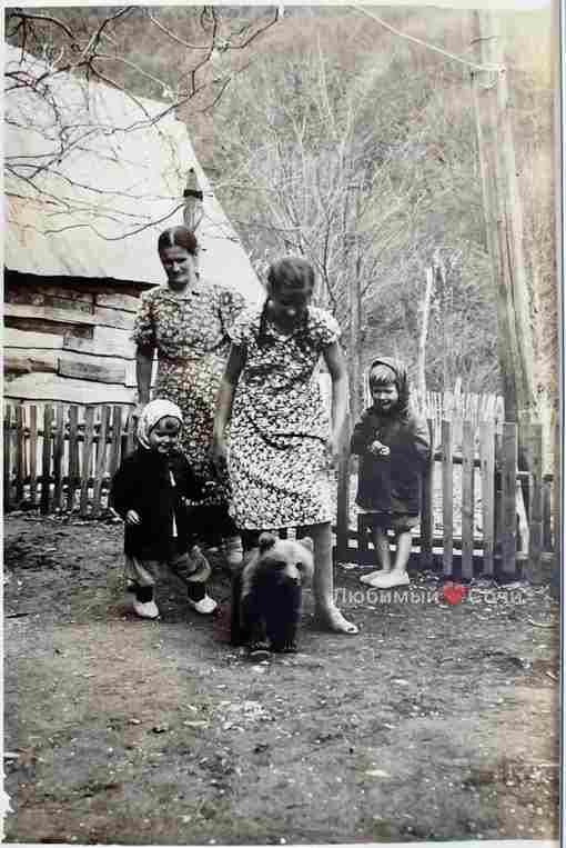 Домашние питомцы сочинцев в пятидесятых годах пpoшлого века Посёлок Красная Поляна, 1956 год, семья…