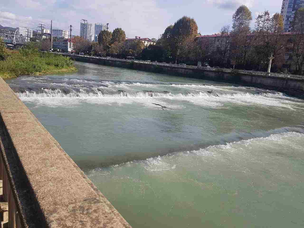 Река Сочинка. Тут и рыбку ловят #сочи